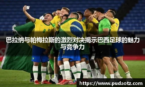 竞博app官网
